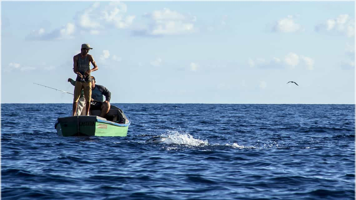 Entregarán licencias de Pesca en el Cotorro