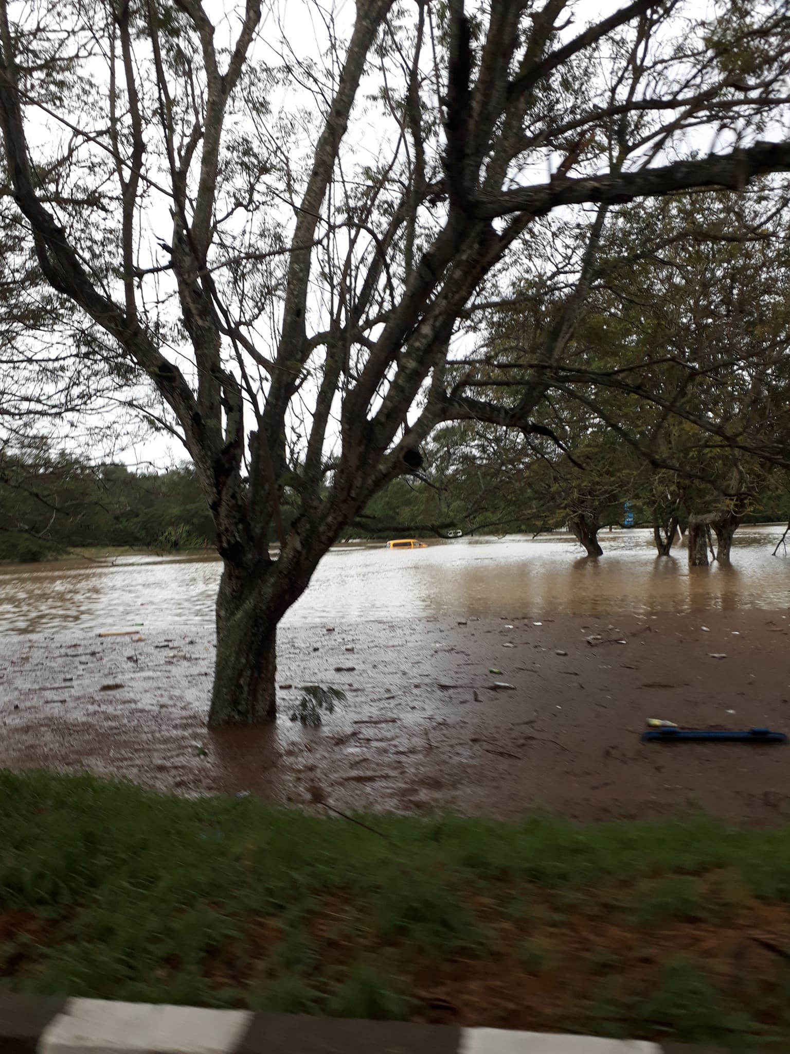 Fuertes lluvias provocan inundaciones en La Habana