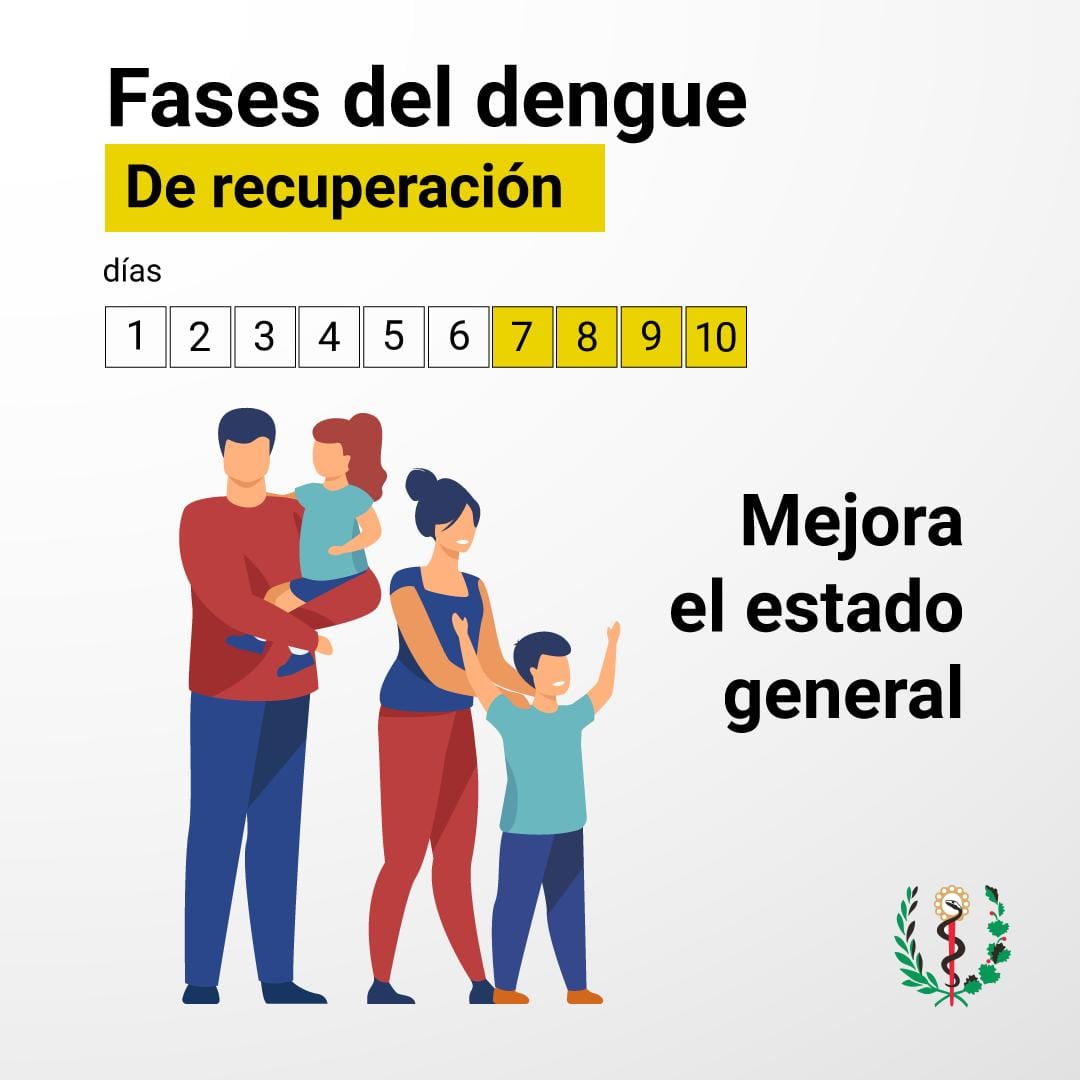 Conocer Fases Y Signos De Alarma Del Dengue, Salva Vidas